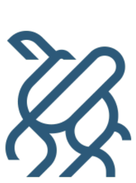 Camel Step logo