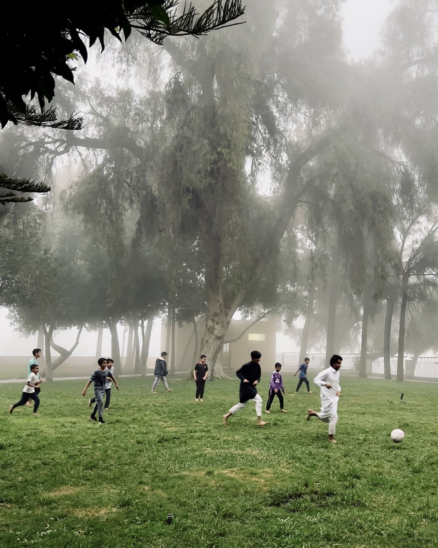 Sports, photo 2