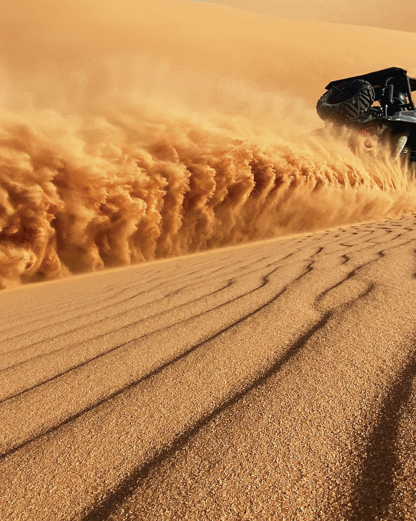 Saudi Desert Riders Campaign, photo 6