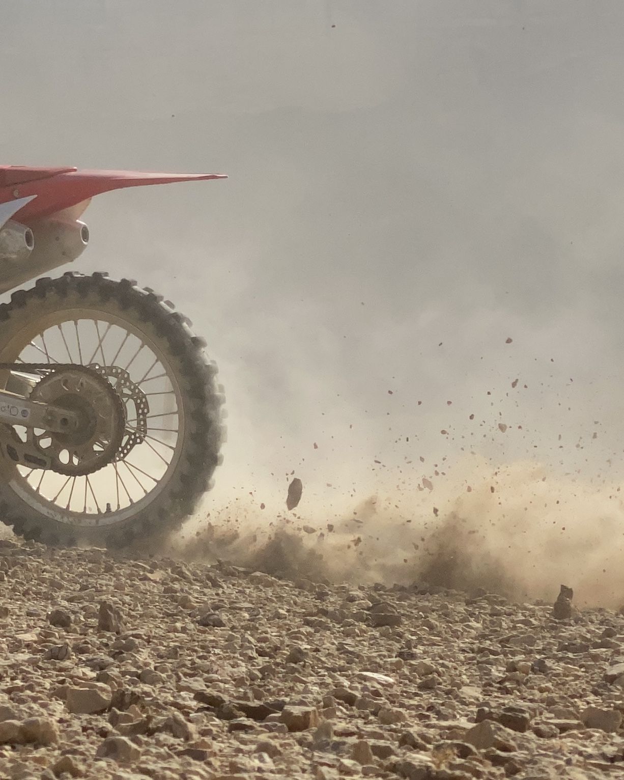 Saudi Desert Riders Campaign, photo 4
