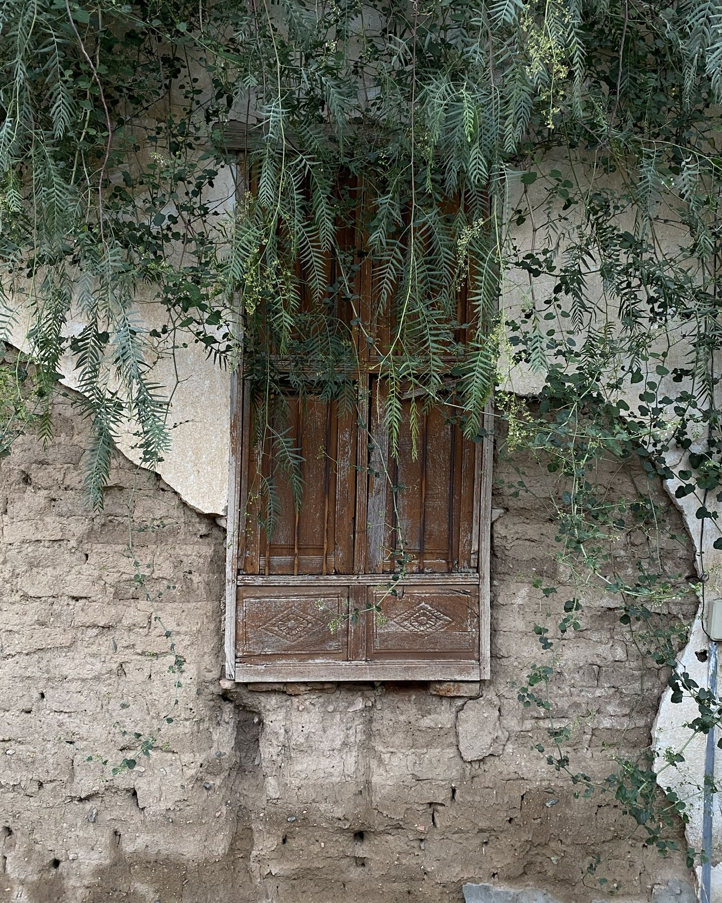 Documentation, photo 63